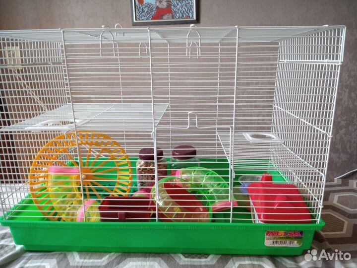 Клетка для грызунов д58*ш30*в40