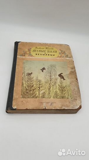 Бианки В.В. Лесные были и небылицы. Рисунки В. Кур