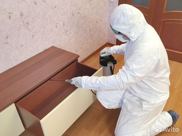 Уничтожение тараканов, травить клопов, обработка