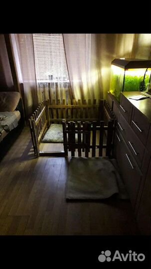 Вальтер для щена или мелкого пёсика