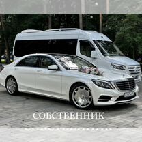 Аренда авто на свадьбу белый Мерседес S-Class