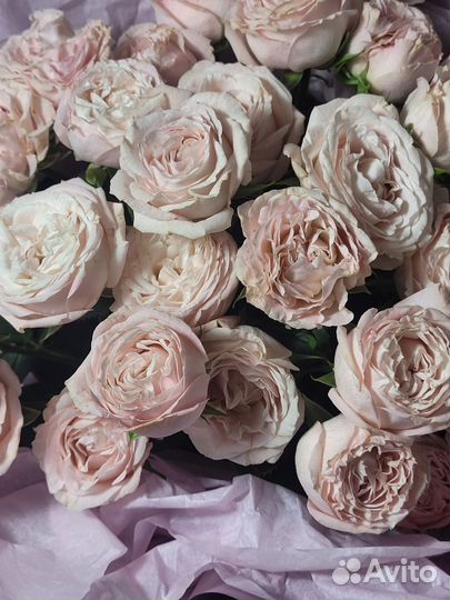 Букет роз заказать