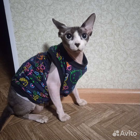 Ищем жениха