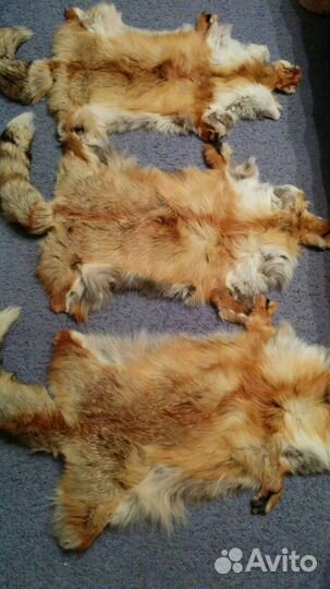 Лисьи шкурки