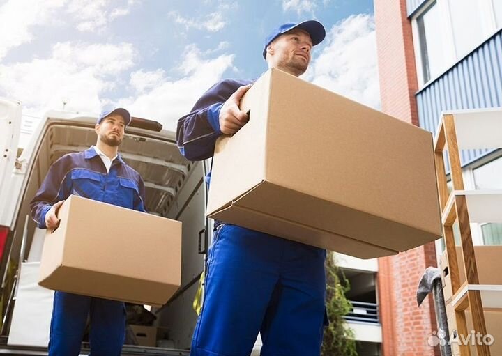 Грузчик без опыта (всему обучим)