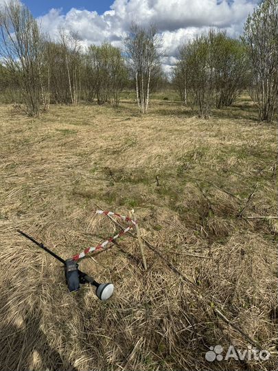 Вынос точек(Вынос границ участка в натуру),Кадастр