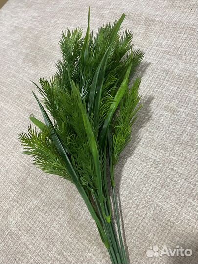 Декоративная зелень