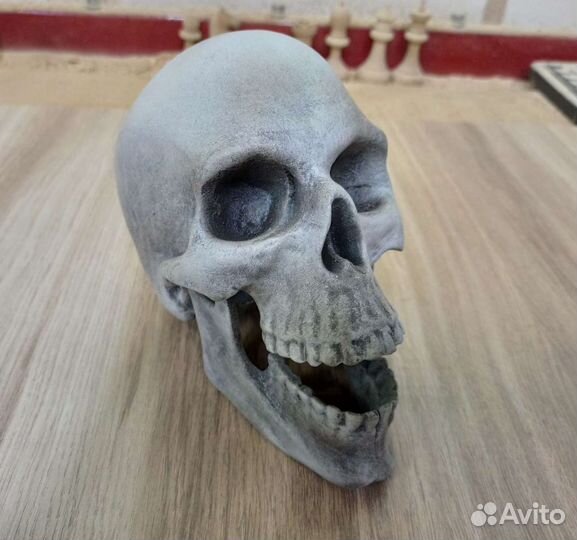 Череп из берëзы