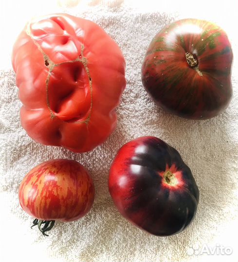 Домашние заготовки