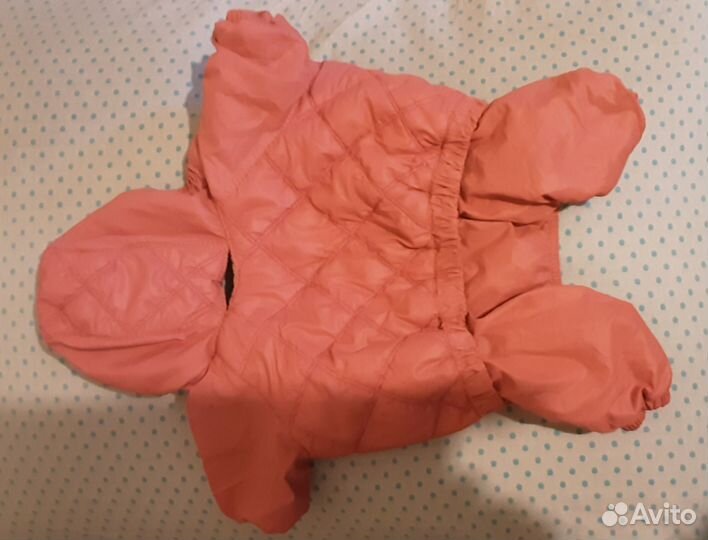 Одежда для собак той терьер