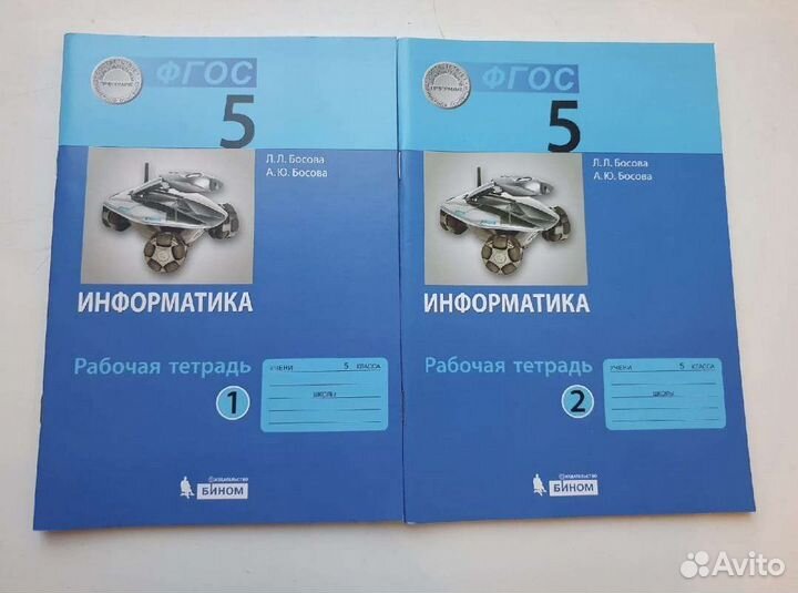 Рабочие тетради 5 класс