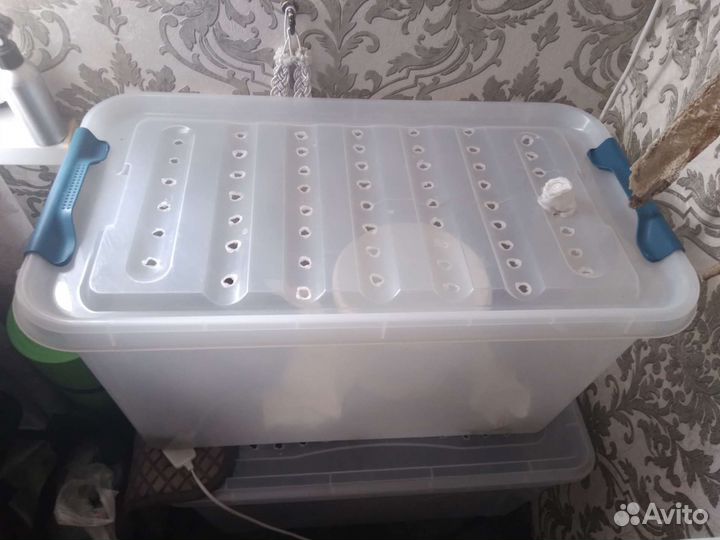 Изготовление террариума