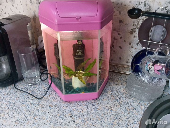 Аквариум aquael полный комплект