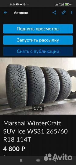 Bridgestone Blizzak DM-V2 265/60 R18 110R
