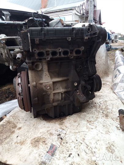 Двигатель форд фокус2 1.6 115лс hxdb