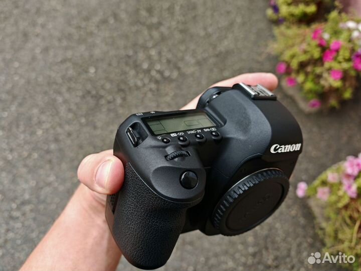 Canon EOS 5D Mark II