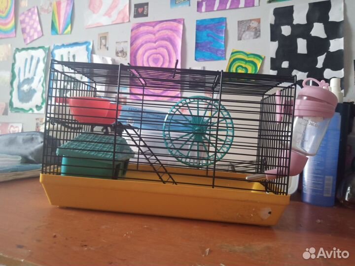 Клетка для джунгарского хомяка