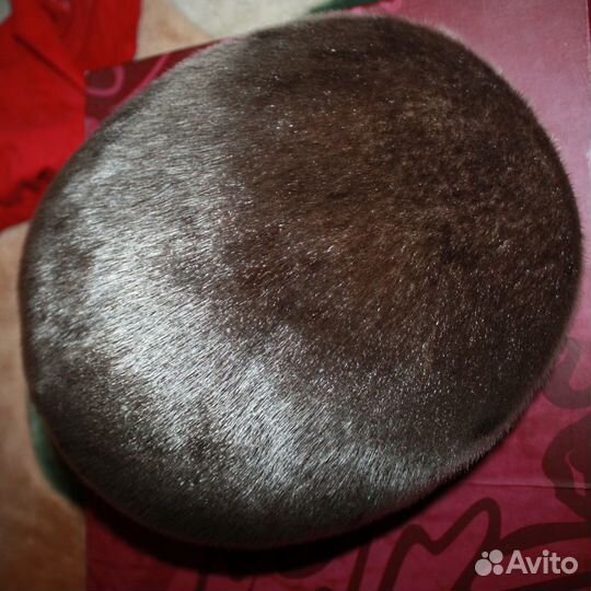 Кепка из нерпы