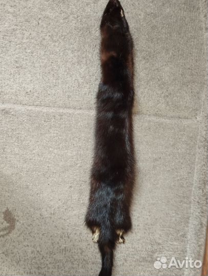 Шкурка норки