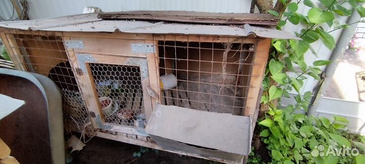 Клетки для кроликов бу