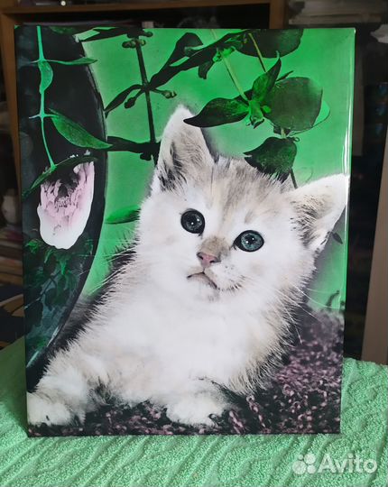 Фотосувенир СССР, винтаж