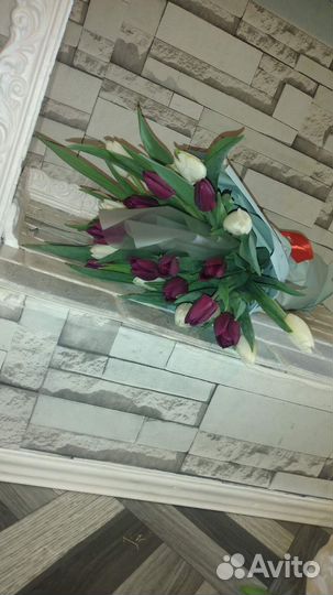 Тюльпаны к 8 марта розница