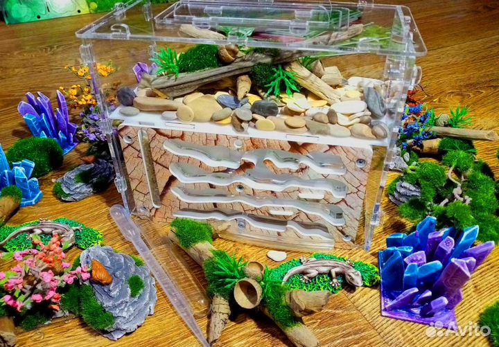 Муравьиная ферма с муравьями на Новый год