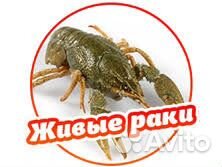 Живые раки в Калининграде