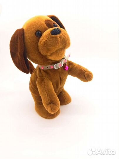 Светящийся ошейник