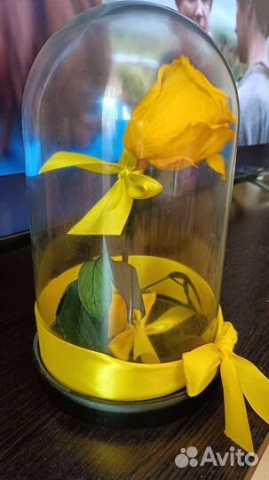 Роза в колбе