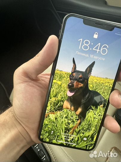 iPhone Xs Max, 256 ГБ