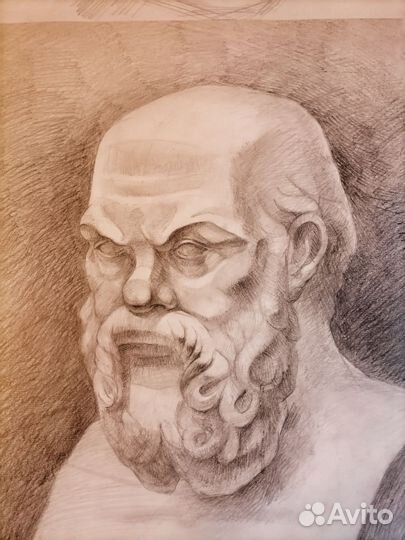 Академический рисунок Гипсовые головы