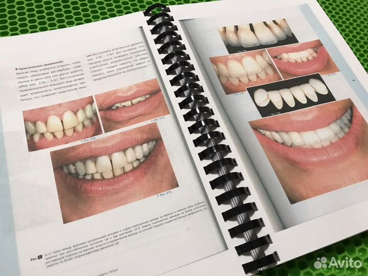 Анализ эстетики Фрадеани Том 1