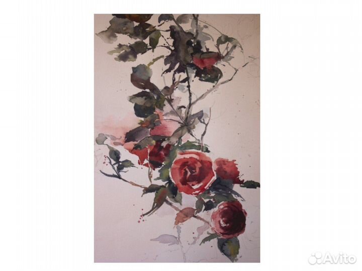 Картина акварель цветы розы