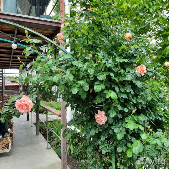 Аренда банкетного зала