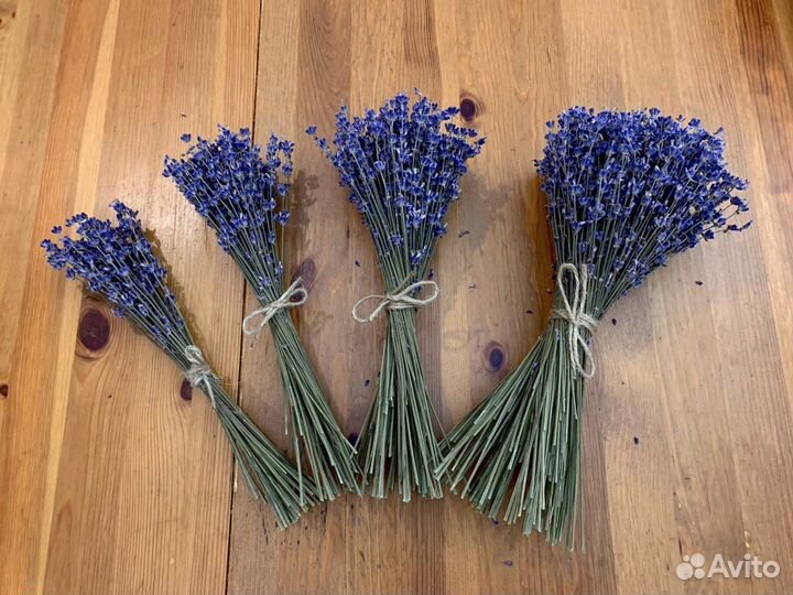 Букет Лаванды