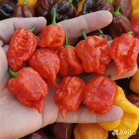 Крафтовый сверхострый соус из перцев чили