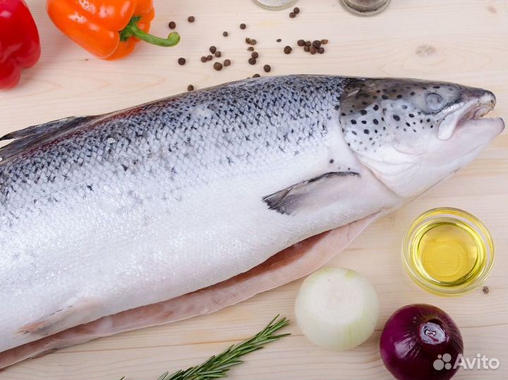 Лосось (семга)