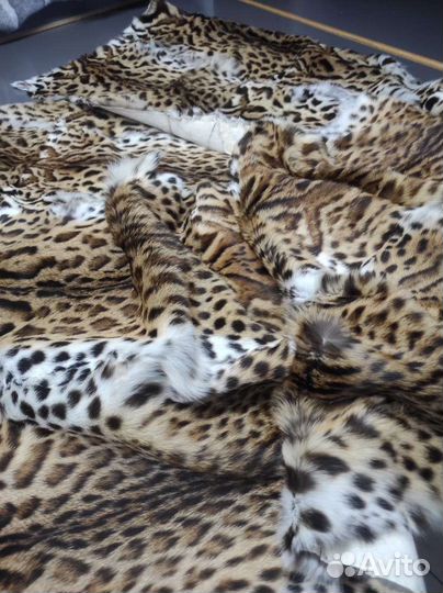 Пластина оцелота