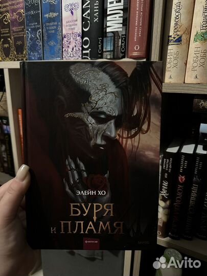 Буря и пламя Элейн Хо
