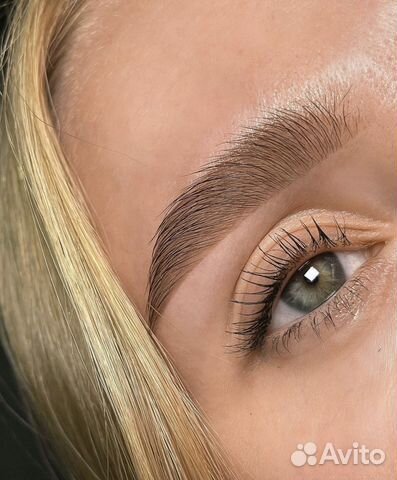 Курсы бровиста