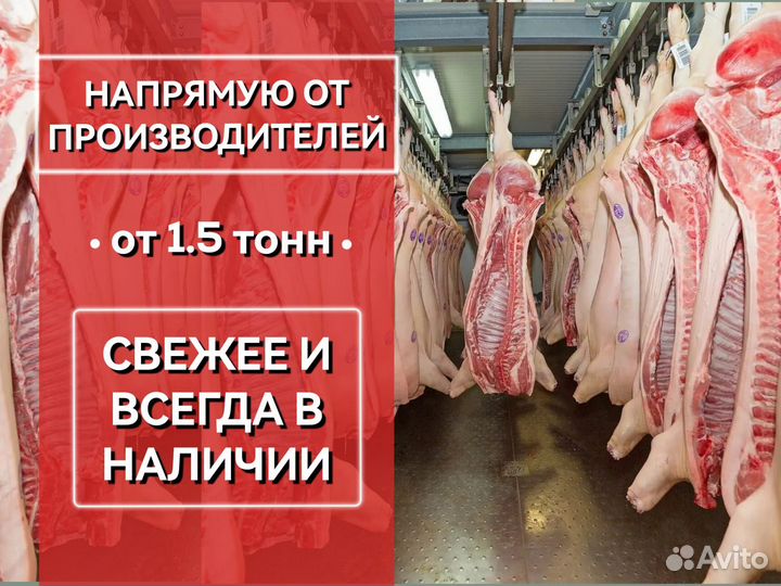 Мясо свинины охлажденное оптом