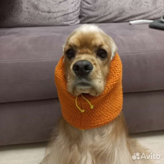 Снуды для кокеров