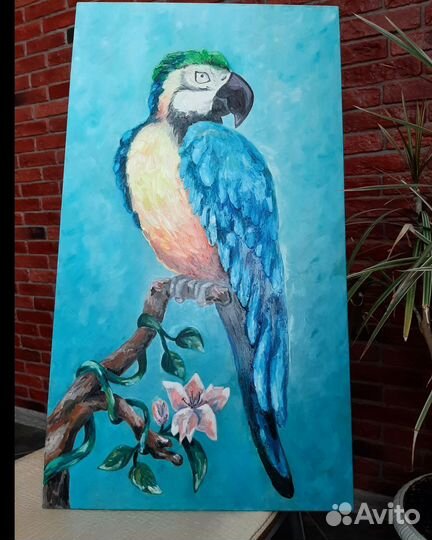 Картина попугай ара
