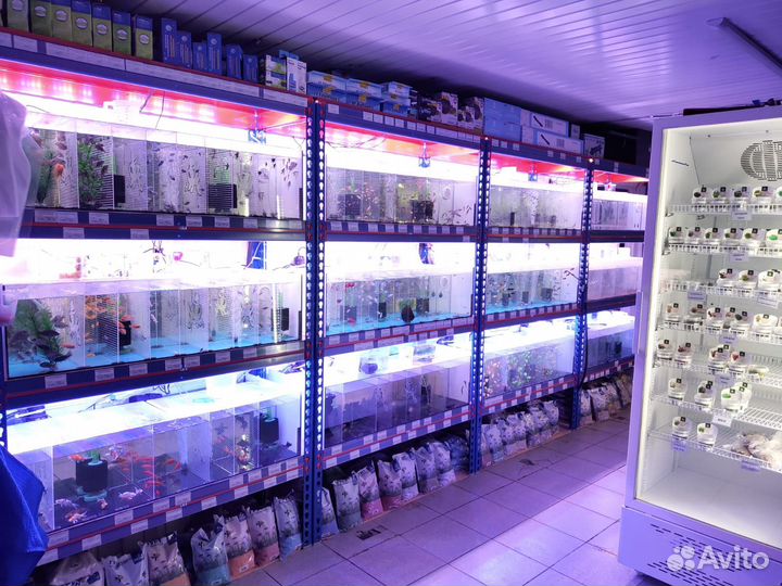 Аквариумный магазин «Аква-Маг» на Зорге 48/1