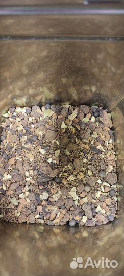 Белый глинтвейн