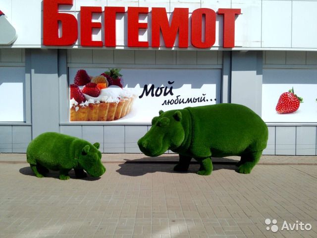 Бегемот тамбов фото Сеть супермаркетов "Бегемот". Профиль пользователя на Авито