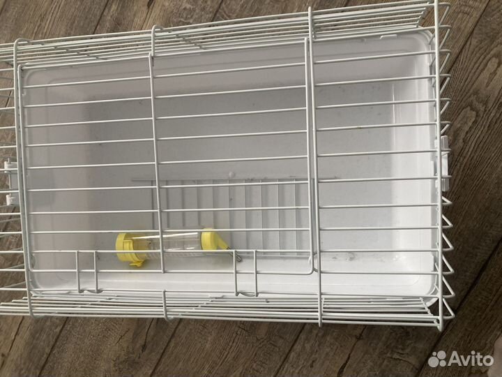 Клетка для морской свинки