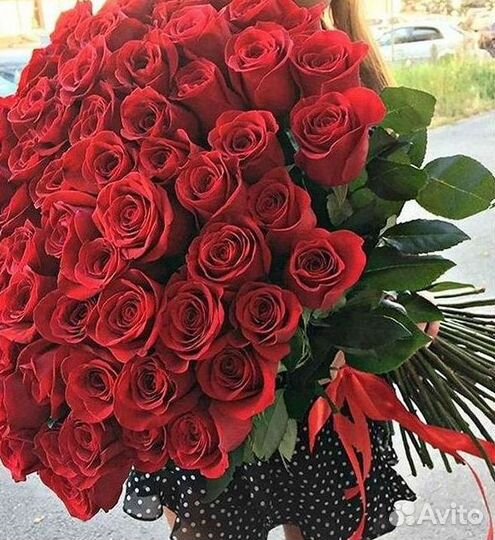 Розы гиганты 140 150 160 170 180 200