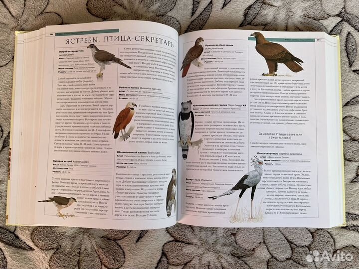 Новейшая энциклопедия животных